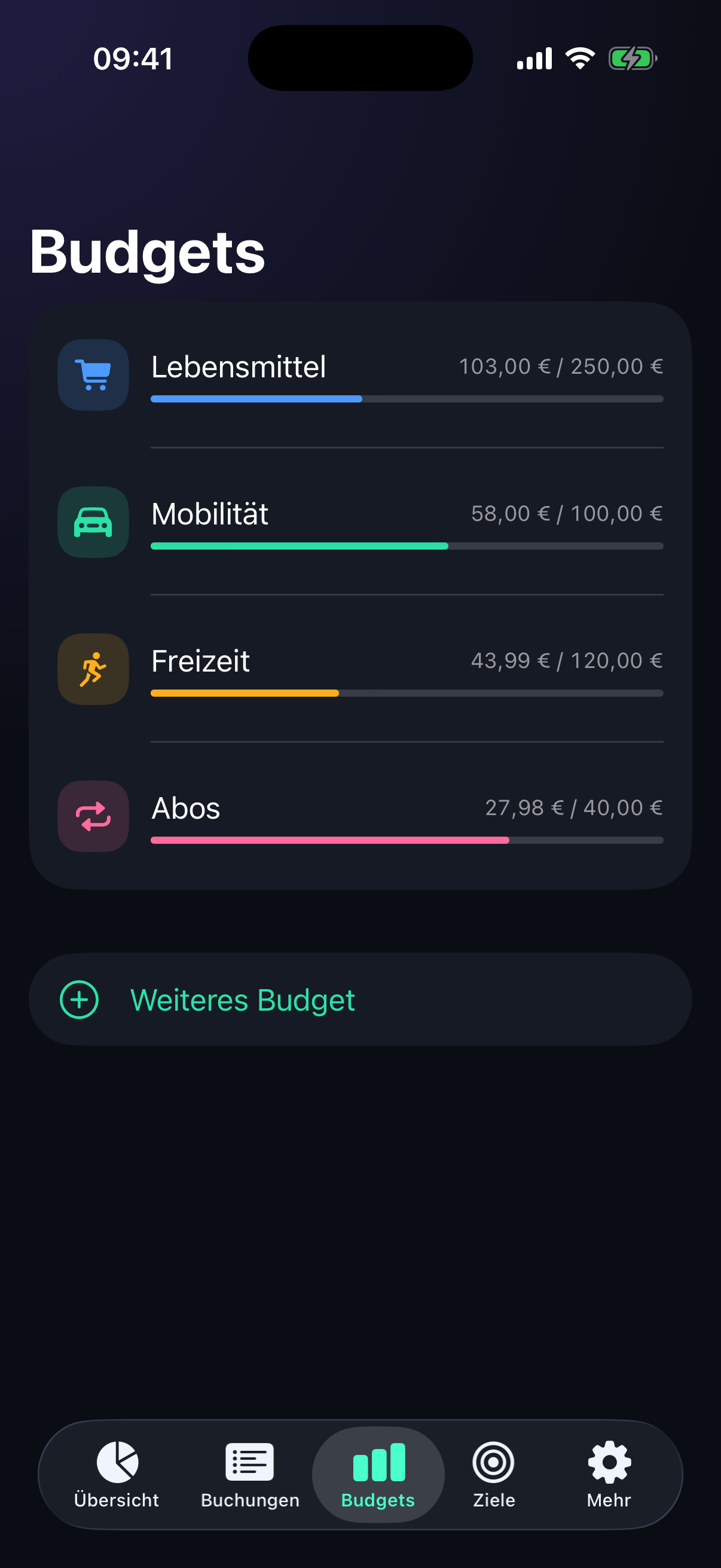 Finto Budgets-Ansicht